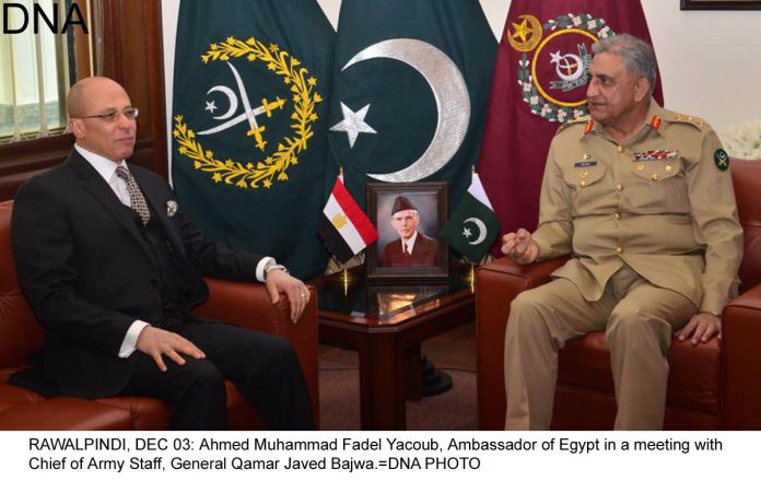 Ambassador of Egypt meets COAS Gen. Qamar Javed Bajwa