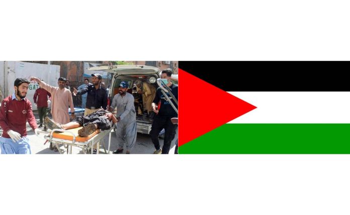 Expressing Solidarity: Palestine condemns terror attacks in Mastung, KPK