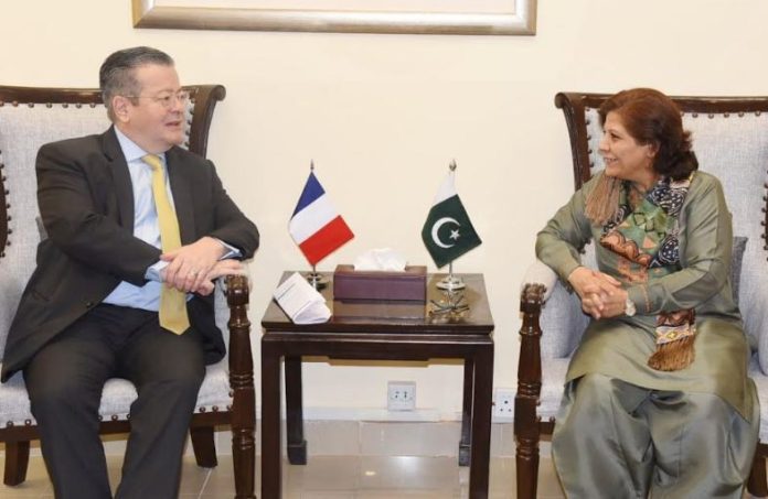 Pakistan, France discuss economic collaborations