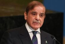 PM hails receipt of $3.6 bn remittances in July Shehbaz Sharif