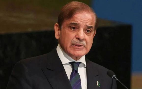 2 PM Shehbaz calls for formulating joint strategy to deal with climate crisis