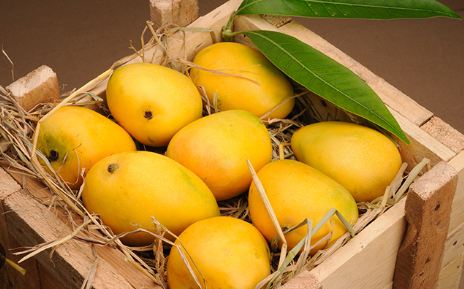 3 Sweet prospects: Elevating Pakistan’s mango exports to China and elsewhere