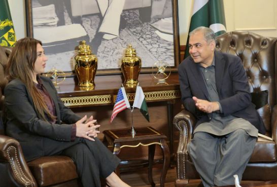 DNA 29-12 Naqvi, US Acting Ambassador discuss bilateral relations in meeting