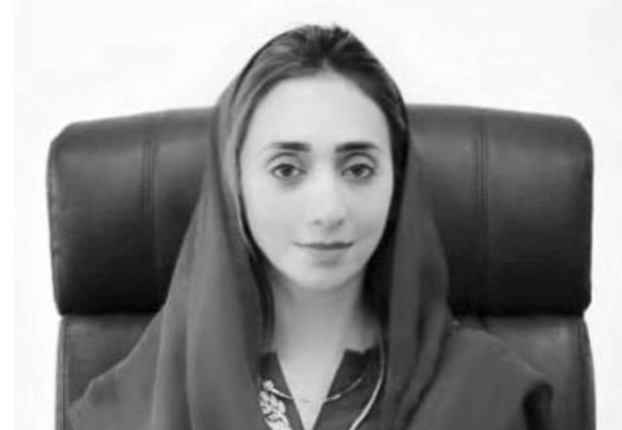 Special envoy for ISC meets Ambassador of Jordan