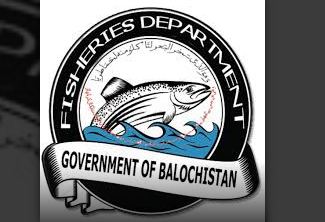 16 Balochistan fisheries department to launch crackdown on illegal trawling
