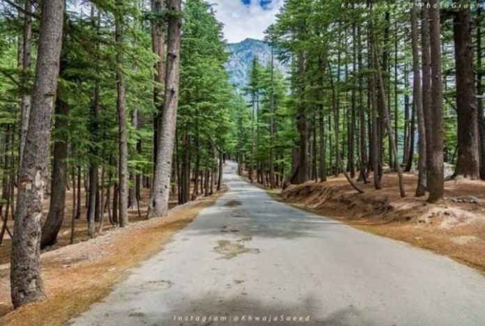 KP Govt plans eco tourism zone at Usho Forest Kalam: Secretary