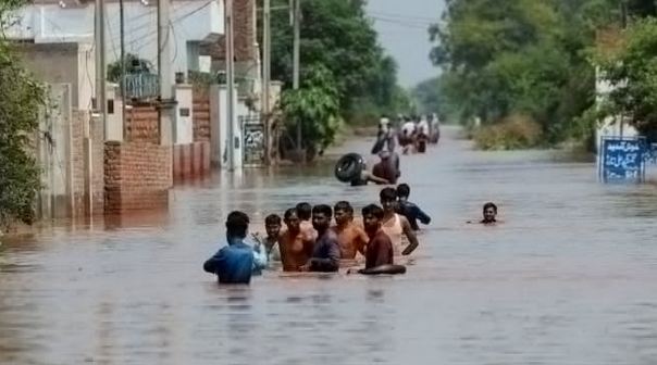 7 Govt moves to ease electricity bills for flood-hit citizens