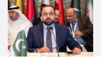 11 Pakistan proposes four-pronged framework at OIC Labour Ministers Conference