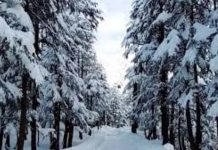 Snowfall transforms northern Pakistan into winter wonderland Snowfall transforms northern Pakistan into winter wonderland