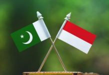 A New Chapter in Pakistan–Indonesia Cultural Cooperation A New Chapter in Pakistan–Indonesia Cultural Cooperation
