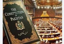 27th Constitutional Amendment elevates security safeguards for CPEC projects: Chinese Scholar 27th Constitutional Amendment elevates security safeguards for CPEC projects: Chinese Scholar