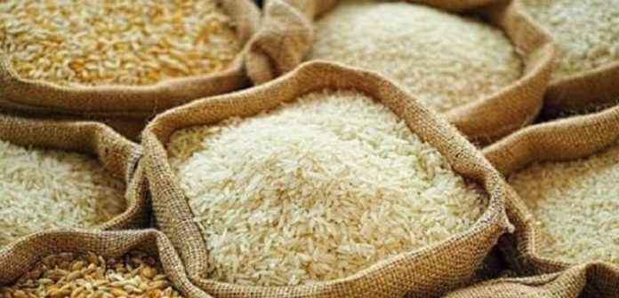 6 Pakistan acquires 945 germplasm lines from China, IRRI to boost rice breeding