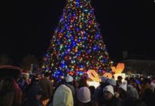 Christmas Tree Lighting Ceremony Christmas Tree Lighting Ceremony