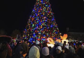2 Christmas Tree Lighting Ceremony