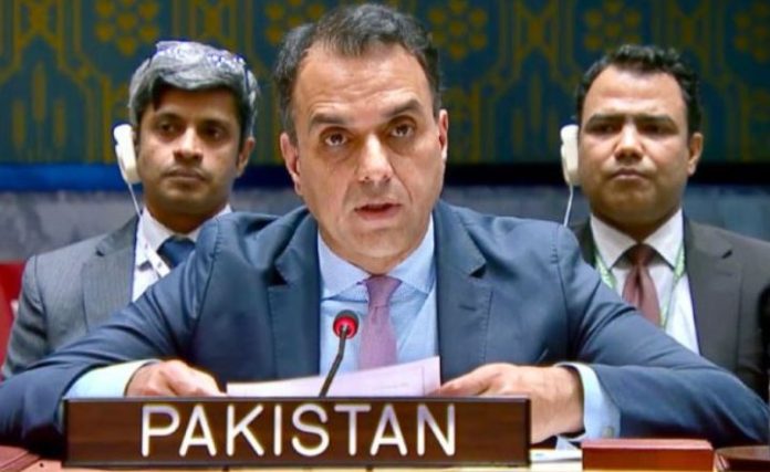At UN, Pakistan warns Israel’s recognition of 'Somaliland' threatens Horn of Africa's unity