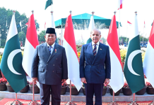 Pakistan, Indonesia pledge to diversify relations in all fields