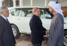 PM Shehbaz, UAE President meet in Rahim Yar Khan Palace PM Shehbaz, UAE President meet in Rahim Yar Khan Palace