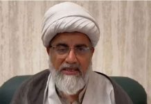 Treasury, opposition agree on Nasir Abbas as Senate opposition leader Senate opposition leader appointed