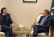 SAPM Haroon meets industrialist SM Tanveer, discusses economic policies