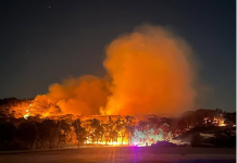 Severe heatwave to bring extreme bushfire conditions to Australia’s Victoria