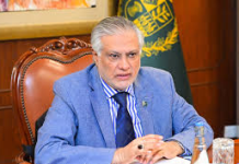 DPM Dar reviews progress on Pakistan -Indonesia cooperation in health sector