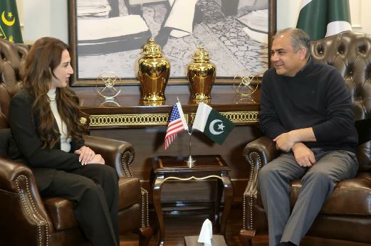 DNA 24-6 Naqvi, US Envoy agree on joint crackdown on illegal immigration