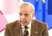 Pakistan working with European partners to combat illegal immigration: PM Shehbaz Pakistan working with European partners to combat illegal immigration: PM Shehbaz