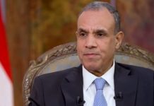 Egypt ready to share successful development experience with African countries: FM Egypt ready to share successful development experience with African countries: FM