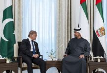 PM Shehbaz praises UAE support during challenging times PM Shehbaz praises UAE support during challenging times