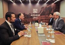 Aurangzeb, Iranian counterpart discuss sector-specific investment opportunities