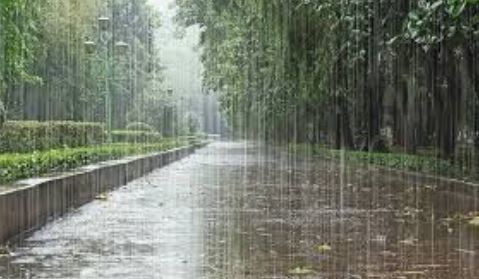 33 PMD forecast heavy rain, wind and thunderstorm