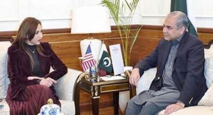 Naqvi, US Envoy Hold Talks on Regional Stability and Islamabad Dialogue Security