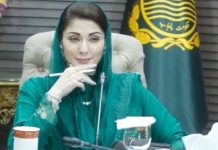 Punjab enforces PM’s national savings & austerity plan Punjab enforces PM’s national savings & austerity plan