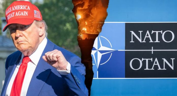 Trump slams NATO as ‘useless alliance’