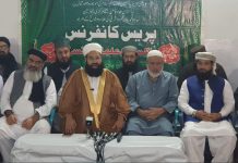 Pakistan Ulema Council welcomes Lebanon ceasefire Pakistan Ulema Council welcomes Lebanon ceasefire