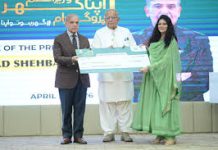 PM launches Rs3.2 trl program to fund building of 0.5m homes in five years