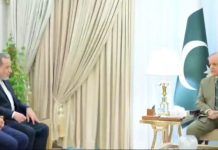 Iran’s Foreign Minister meets PM Shehbaz Iran’s Foreign Minister meets PM Shehbaz