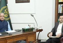 PM Shehbaz directs ‘comprehensive strategy’ to stabilise electricity tariffs PM Shehbaz directs 'comprehensive strategy' to stabilise electricity tariffs
