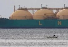 Pakistan ‘rejects’ LNG supply bids for May spot cargoes Pakistan 'rejects' LNG supply bids for May spot cargoes