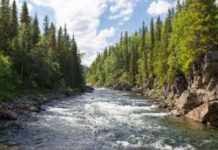 Let the rivers flow Let the rivers flow