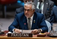 Deputy PM Ishaq Dar to lead Pakistan at UNSC debate Deputy PM Ishaq Dar to lead Pakistan at UNSC debate
