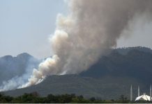 Fire erupts at 3 points in Margalla Hills, all trails closed as 65 personnel continue operation Fire erupts at 3 points in Margalla Hills, all trails closed as 65 personnel continue operation