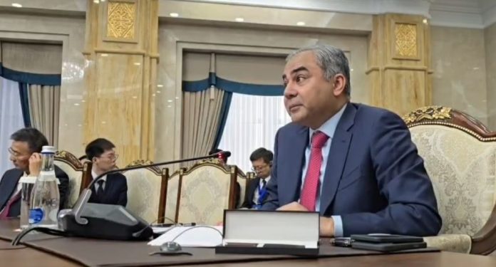 Pakistan calls for stronger regional security cooperation at SCO interior ministers’ meeting