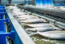 174 Pakistani fish processing plants enlisted 174 Pakistani fish processing plants enlisted