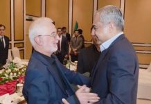 Pakistan to continue efforts for regional stability, Naqvi tells Iranian counterpart Pakistan to continue efforts for regional stability, Naqvi tells Iranian counterpart