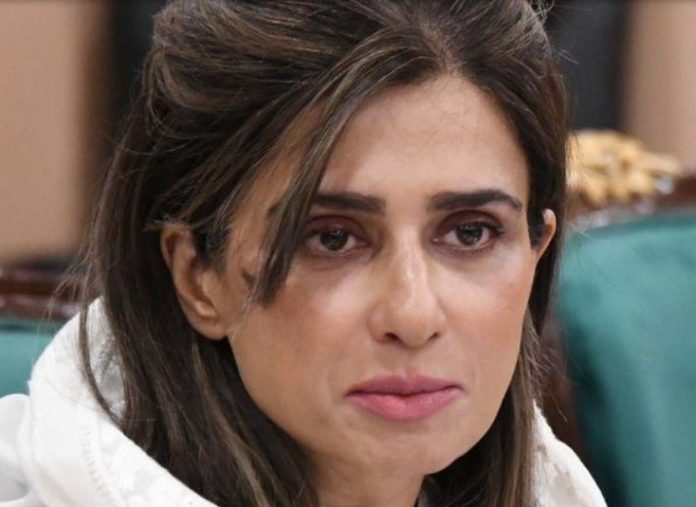 NA Committee reviews migration, diplomatic affairs