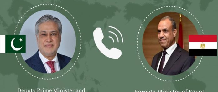 DPM, Egyptian FM discuss regional developments