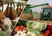 The updated agricultural system in New Uzbekistan serves the interests of farmers The updated agricultural system in New Uzbekistan serves the interests of farmers