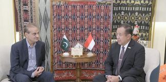 Chandra W. Sukotjo: Indonesia-Pakistan partnership set to further expand Chandra W. Sukotjo: Indonesia-Pakistan partnership set to further expand