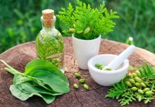 Two-Day Int’l exhibition, seminar on herbal medicines concludes Two-Day Int’l exhibition, seminar on herbal medicines concludes
